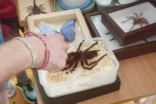 IMG_20260608_103740